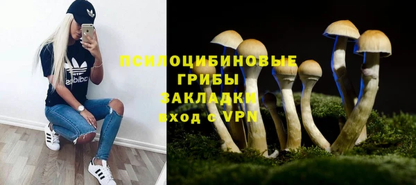 крисы Нефтегорск