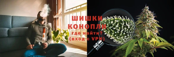 стафф Новодвинск