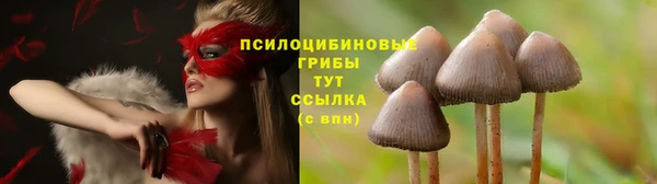 бутират Бикин